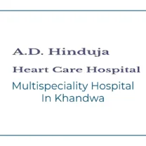 A. D. Hinduja Case Study